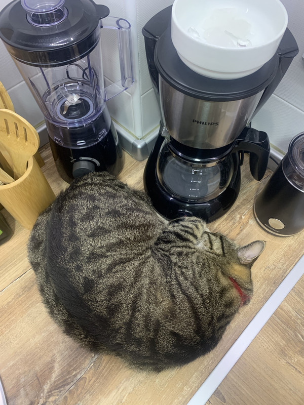 19DEBCCF-CF6A-41E3-8B8B-7491A55A4924