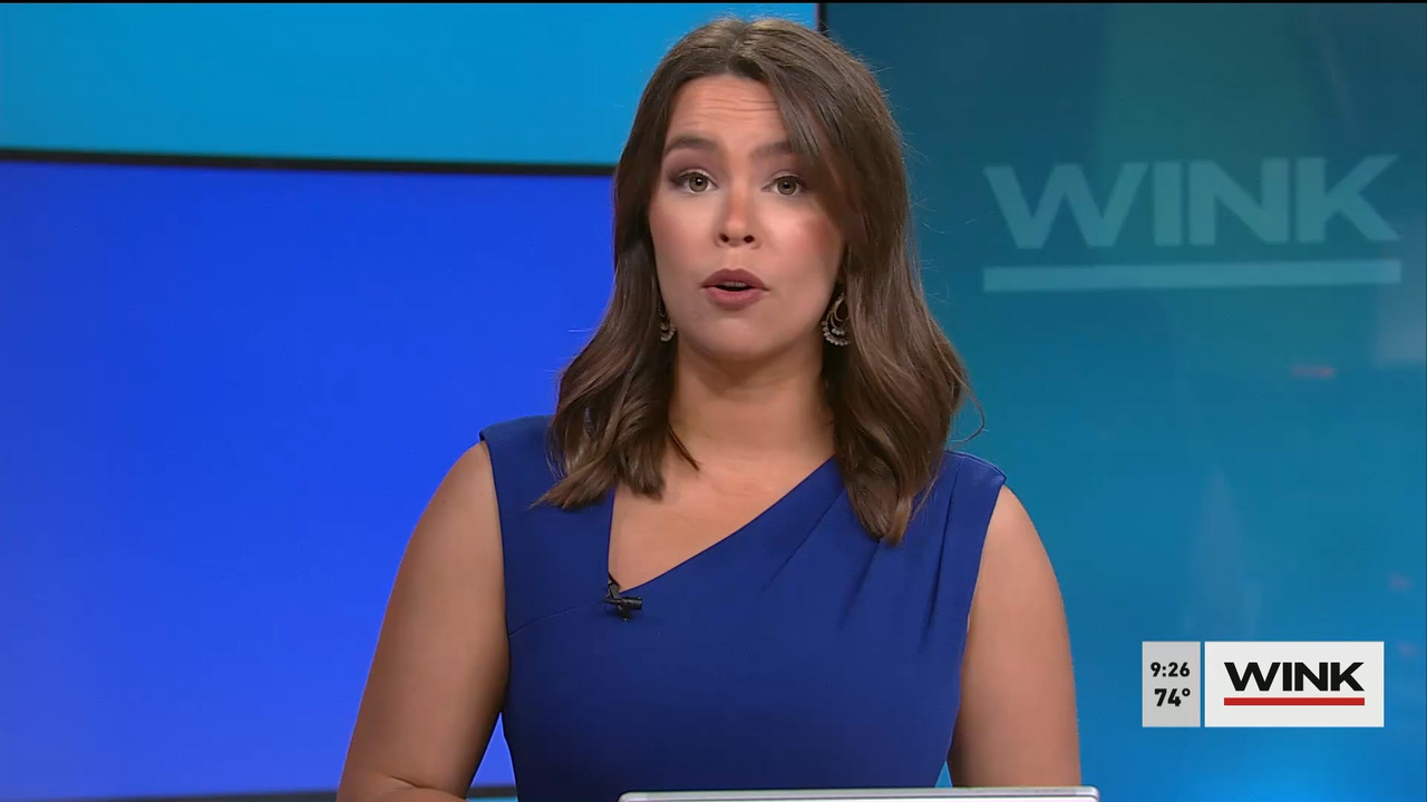 WINK News at 9 00 a.m. 2022_03_05_14_00_00.ts_snapshot_00.29.38.819