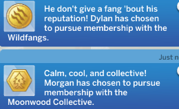 dylan-is-a-wildfang.png