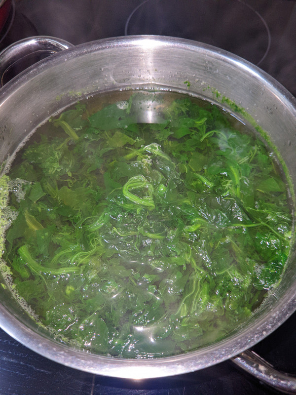 ⚛️antykat_v17_⭐_LMC_11TPro_20230718_213537001__storage_emulated_0definidaycolor