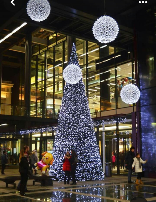 Screenshot_20231119_001312_Pinterest