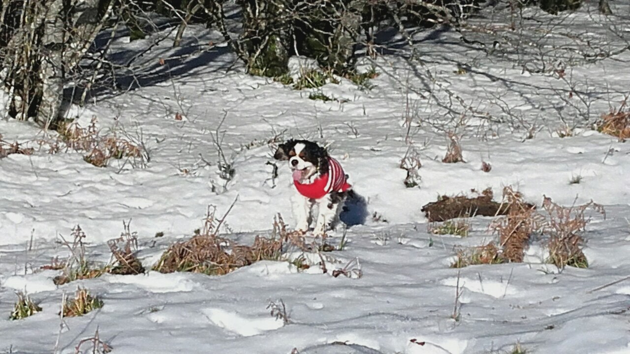 9815F3EB-02FD-487D-BC2B-E0AE8C6F8297