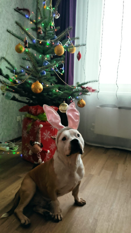 4D0A74C3-1571-4A80-A3ED-93A49BDB7965