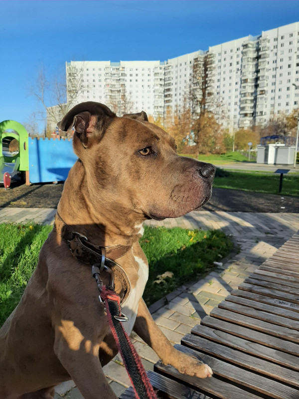 50B5FD2A-3051-4405-8B38-72A9F0CD6A99