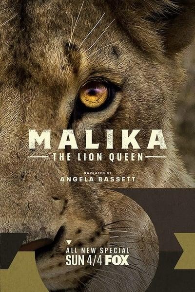 Malika-the-Lion-Queen-2021-1080p-HULU-WEBRip-DDP5-1-x264-NTb.jpg