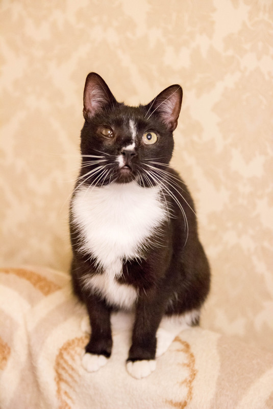 черная с белым-1-17