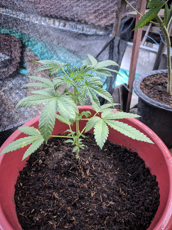 HC_20230205_174806_null