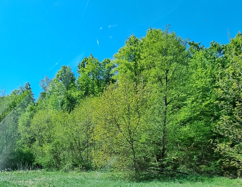 Slika