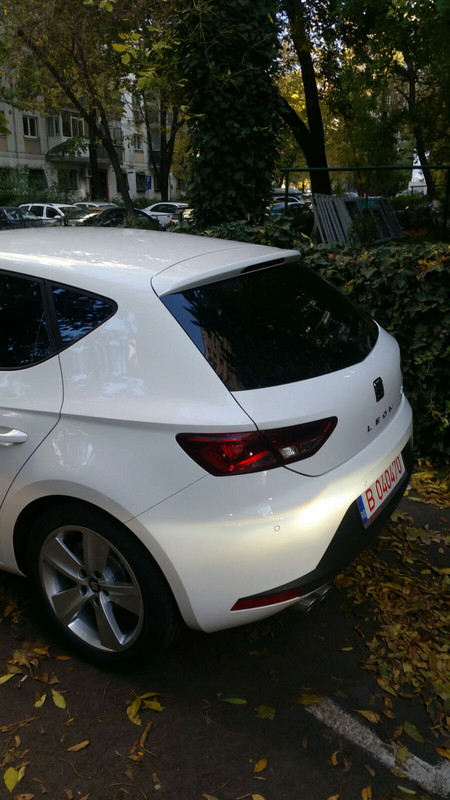 rear