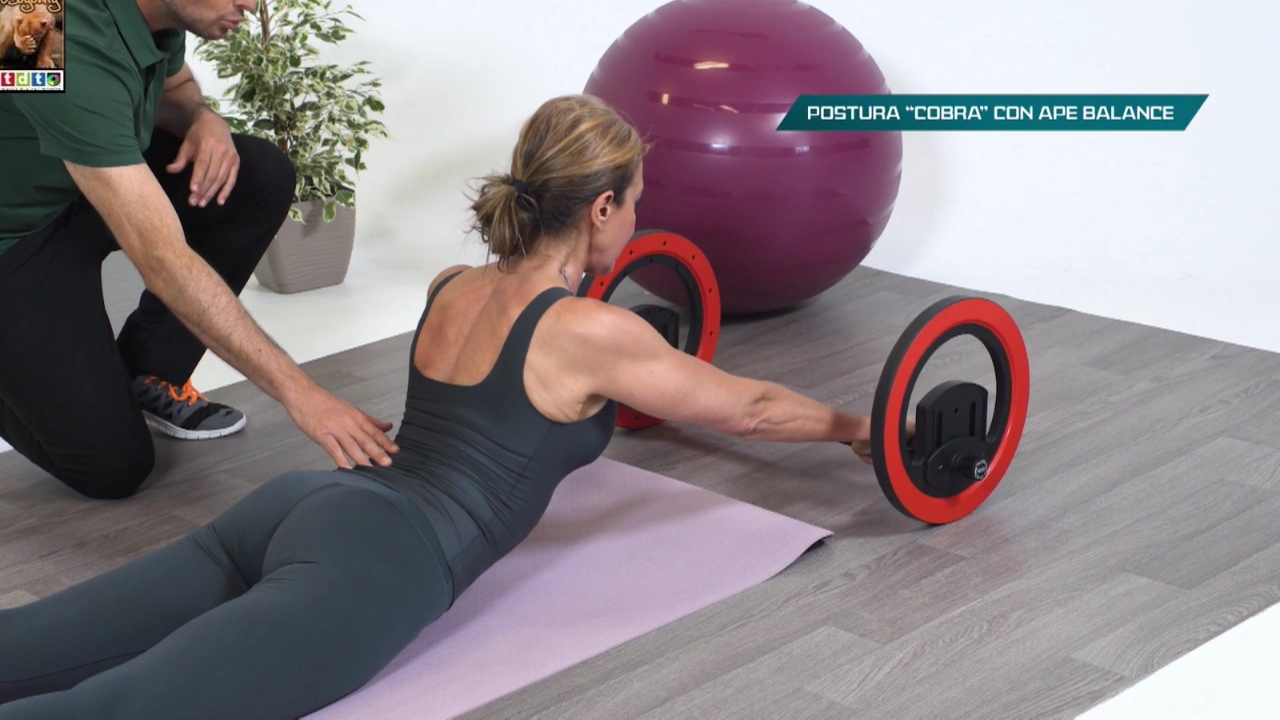 elsaankaenforma_oso3eeeweeeeerrrrrrrrrtewwr