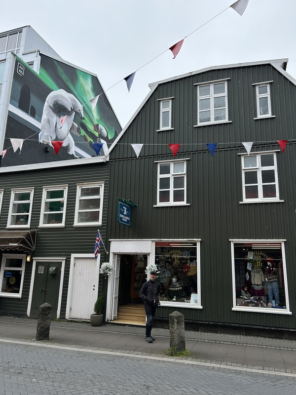 ISLANDIA, 21 DÍAS EN UN 2º VIAJE A LA TIERRA DEL HIELO Y FUEGO - Blogs de Islandia - 16/07/2025 ESTO SE ACABA... NOS DESPEDIMOS EN REIKIAVIK CON OTRA SORPRESA (7)