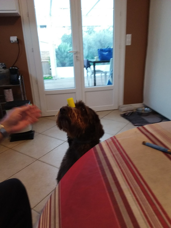 [Image: 20201022-183938-copy-1200x1600.jpg]