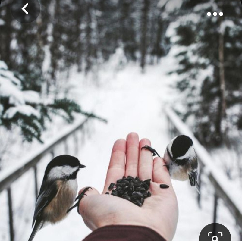 Screenshot_20231107_161222_Pinterest