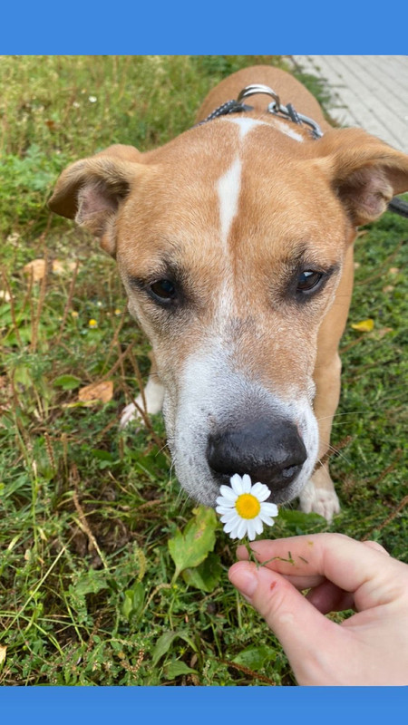 61541E6B-6482-407B-8C2A-A49509D49B85