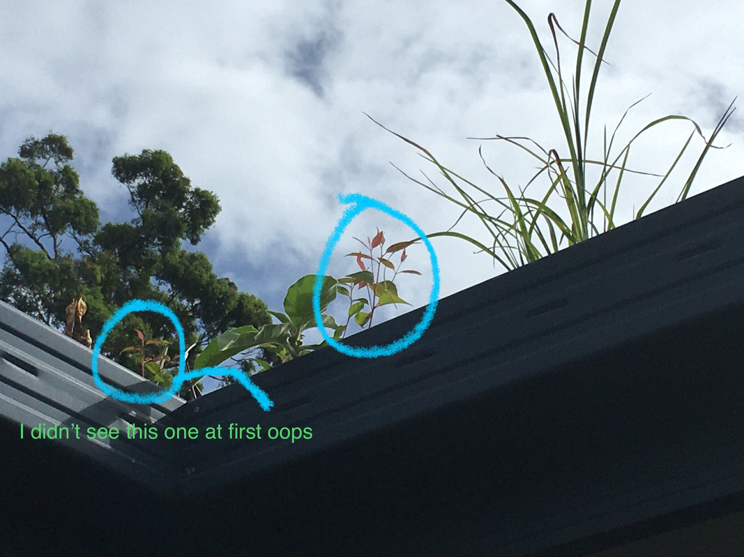 65C60CC3-2D04-4D4E-98DD-18C9B28E8BFA