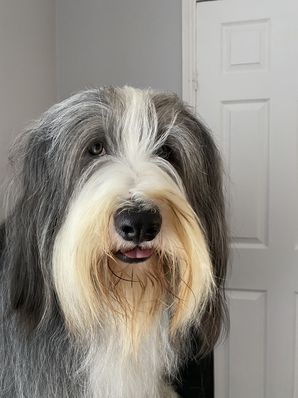 FEE1A811-A56B-40C8-8CDA-1A8D286692C6