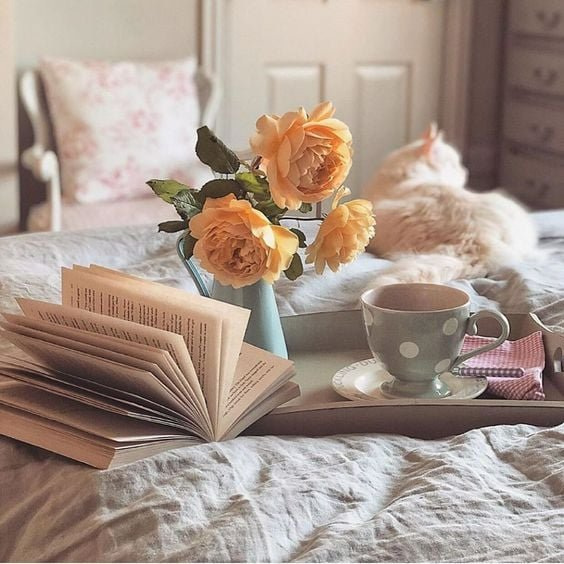 357211006_789368349655980_5191433983926921386_n