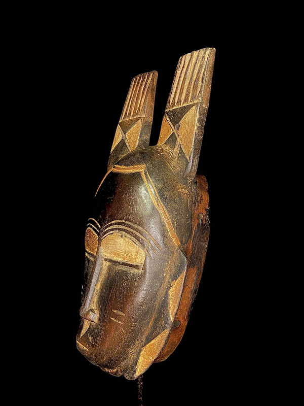 large image 8