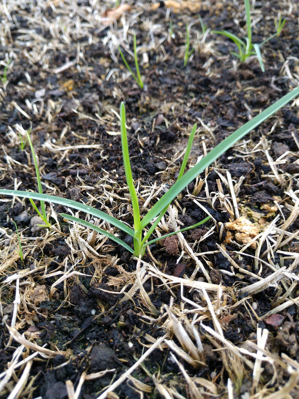 IMG_20170902_082522517