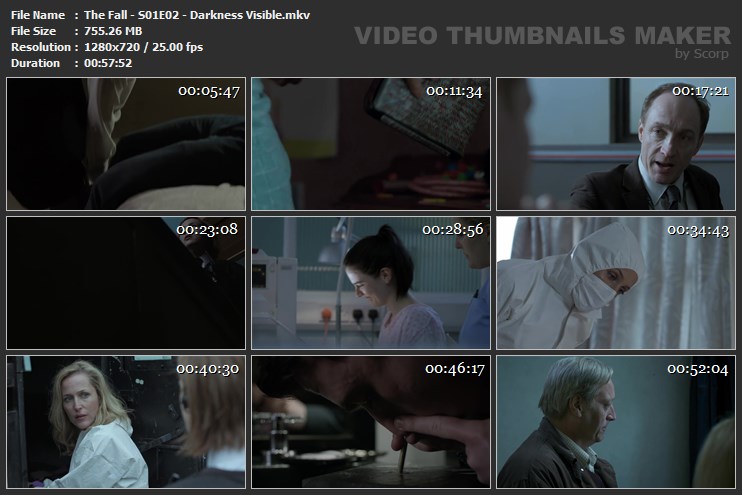 The Fall - S01E02 - Darkness Visible.mkv