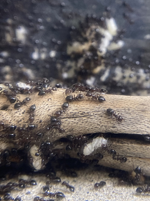 BD8EACF0-FA32-45DE-919D-0512AA945FD1