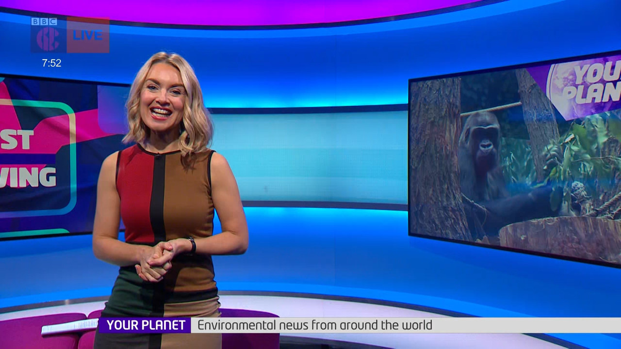 Newsround_20221005_07450755.ts_snapshot_08.59.305