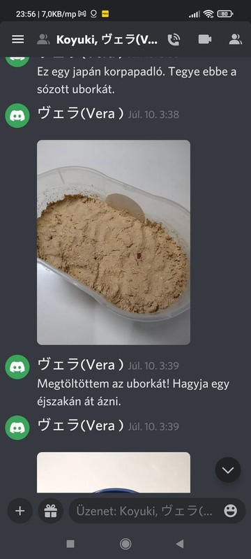 Kép