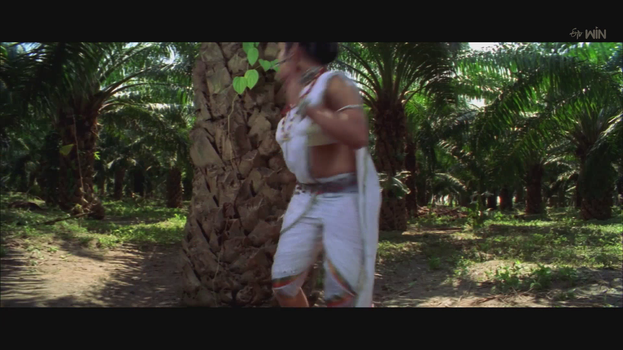 vlcsnap-2025-08-17-09h12m04s138