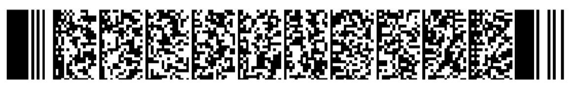 2D Barcode