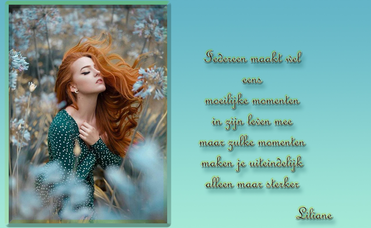 3f9de5d954f13bf378f9e8a22520c408