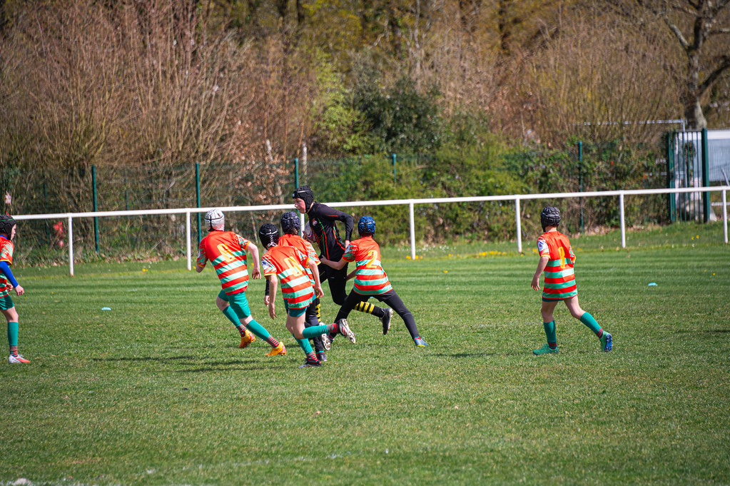 tournoi-de-latlantique-2026-adonis-griffon-51-55181549174-l