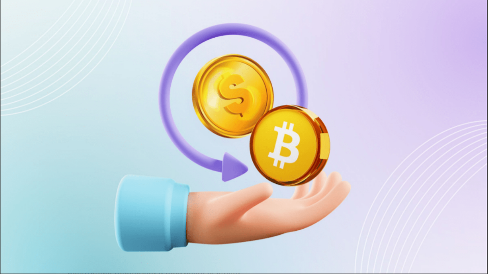 article content image