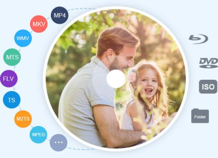 Vidmore DVD Creator 1.0.22 Multilingual