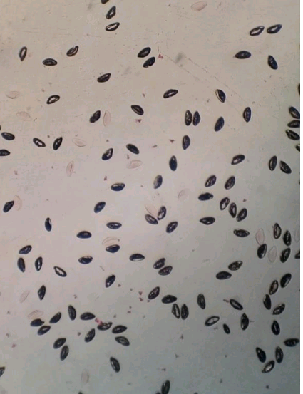 1768397655705 screenshot