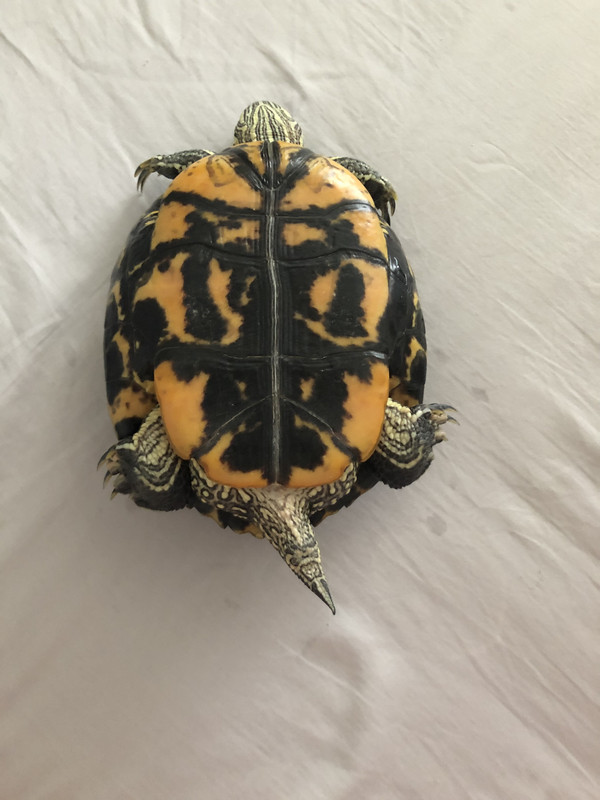 45D389B0-3DC7-4428-9EC0-C515349DE934