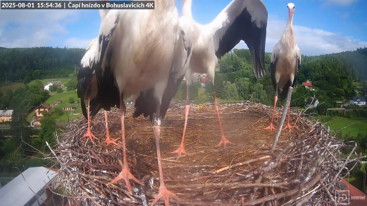 Tiešraide no KARA uzņēmuma stārķu skursteņa Bohuslavicē netālu no Trutnovas 14-11-40 screenshot (1)
