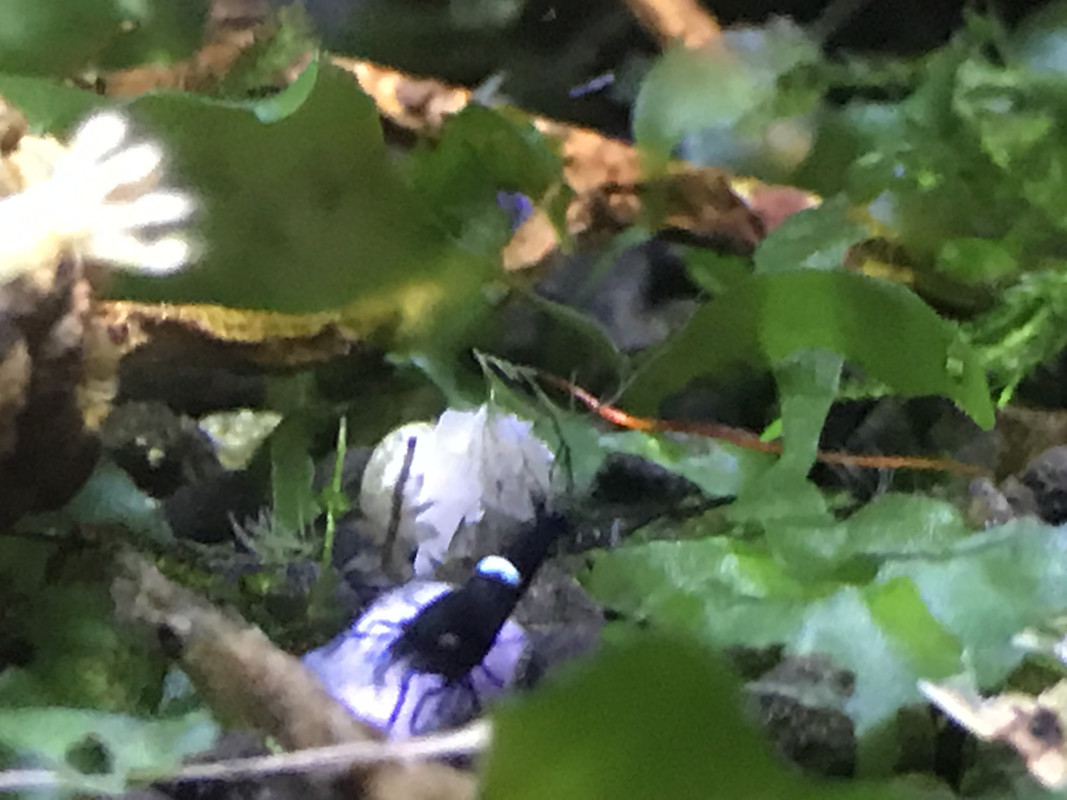 CF2C785C-8F2C-4611-A7E2-E4CAE218A0F6