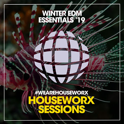 VA - Winter EDM Essentials '19 (01/2019) VA-Winte19-opt