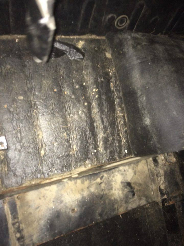 15209086_1331434853568403_867196386_n