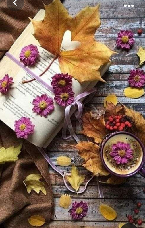 Screenshot_20231008_224133_Pinterest