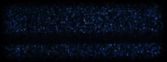 frankie's banner