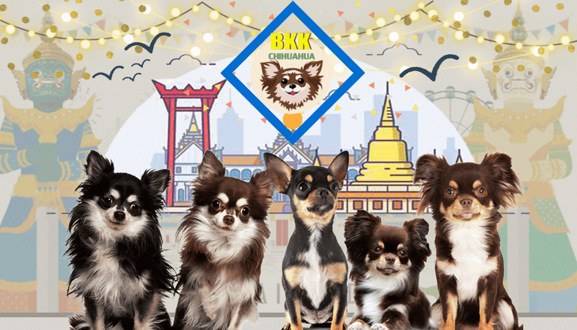 ภาพที่ 1