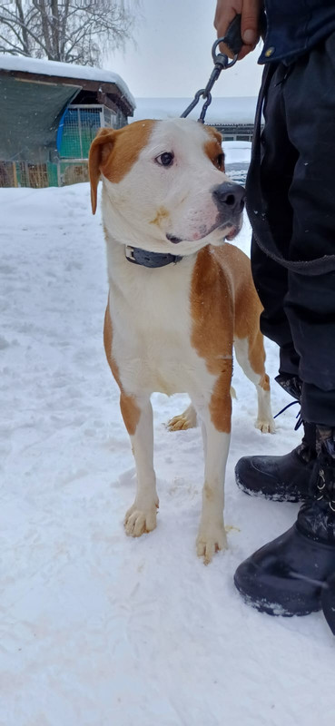 WhatsApp Image 2024-01-11 at 15.36.08 (1)