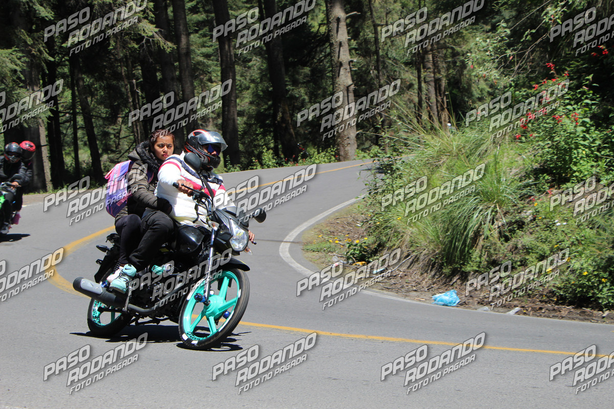 IMG 6712 wm 21294669 5 watermarked — Postimages