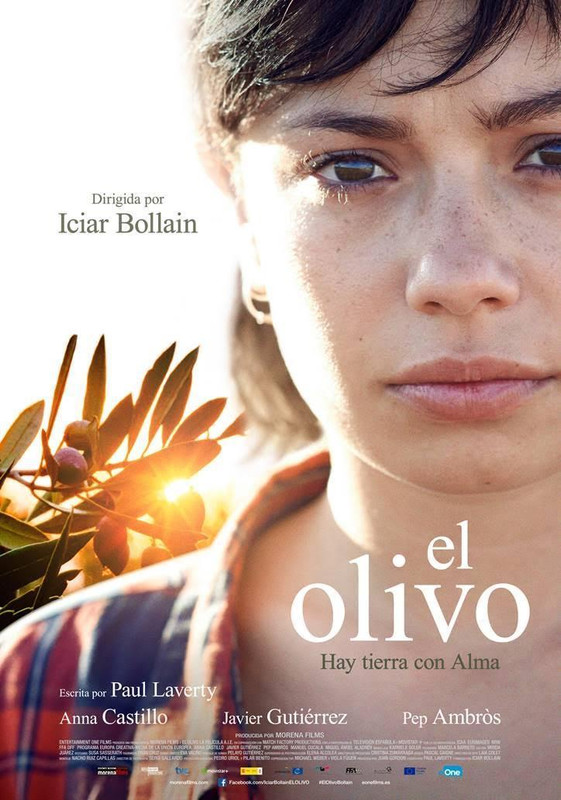 el olivo 906532344 large - El olivo Hdrip Español (2016) Drama