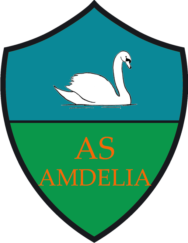 6 - Finales pg. 18| FAFA 49 AS-Amdelia