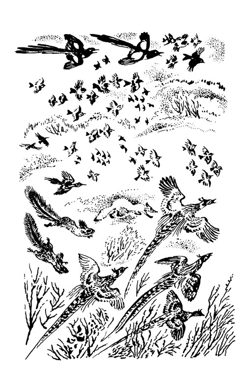 1993-page-0115