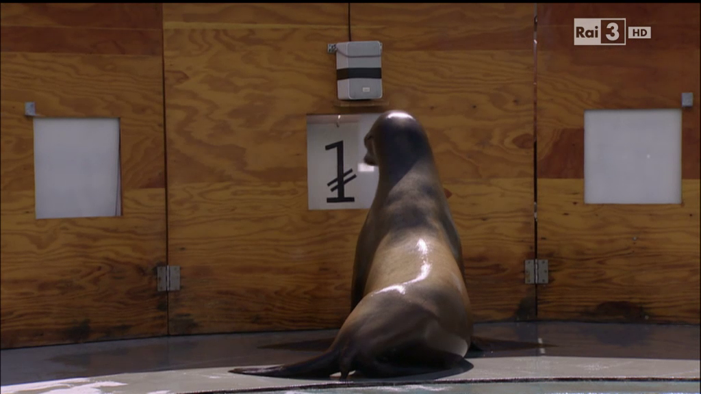 vlcsnap-3888-04-14-22h56m39s742