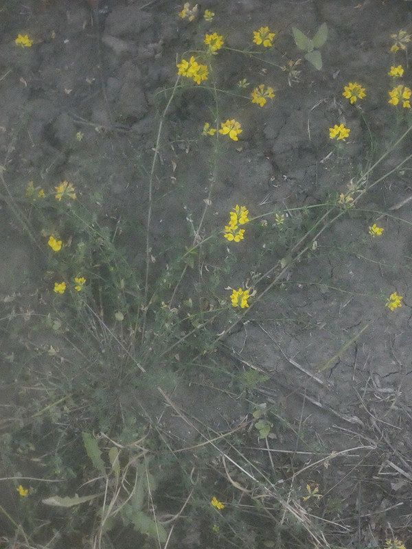 P1030668-1... (1024)