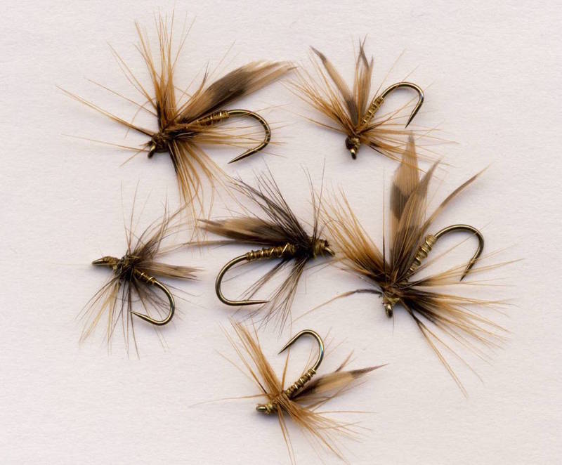 Yorkshire Greenwell_zpsxjgkijrj